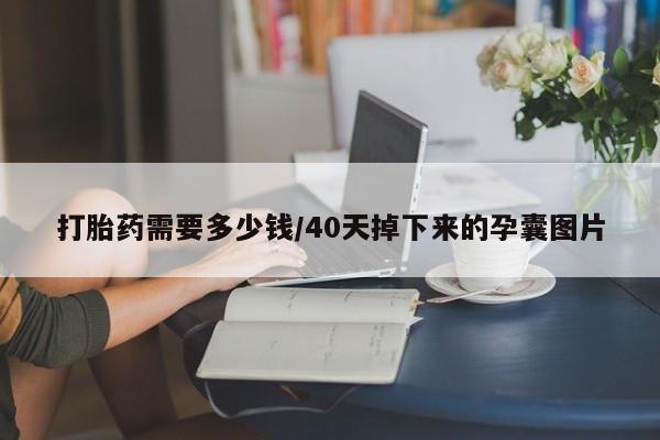 流产药微信联系方式安全无副作用打胎药需要多少钱/40天掉下来的孕囊图片
